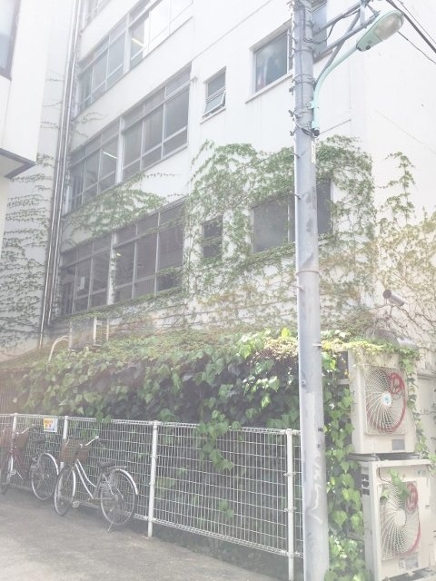 ローヤルタウン神宮前ビル 画像