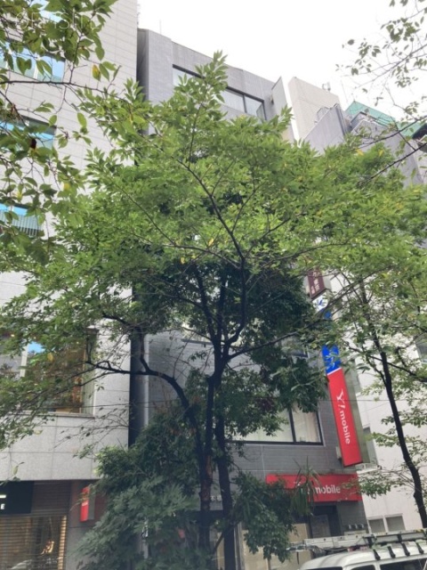 日本橋さくらビル 外観