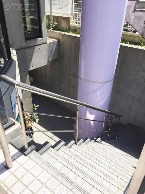 F93 Harajuku 画像