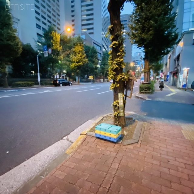 ユーメリアビル ビル前面道路