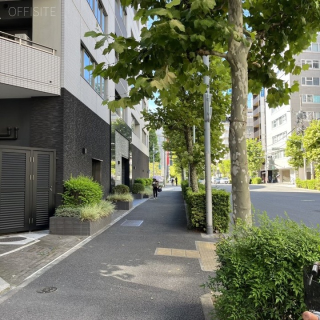 安田小網町マンション 前面歩道