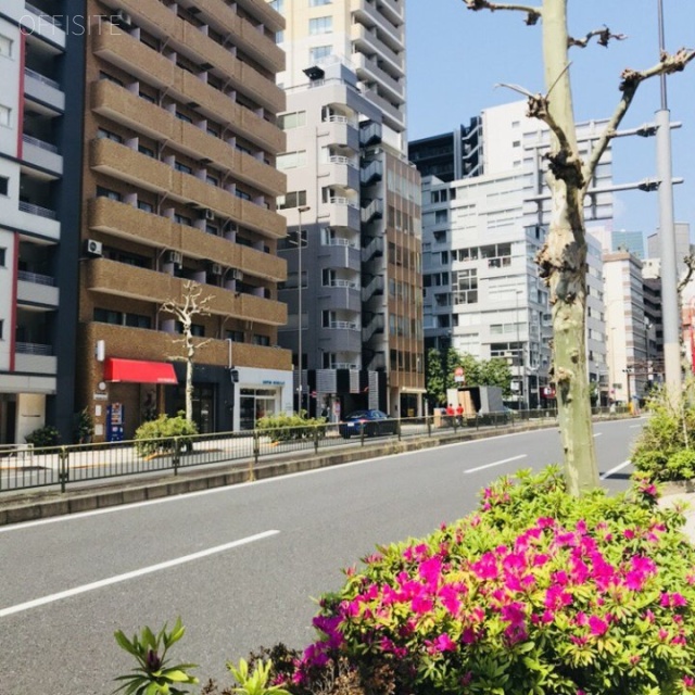 レガリア東麻布 ビル前面道路