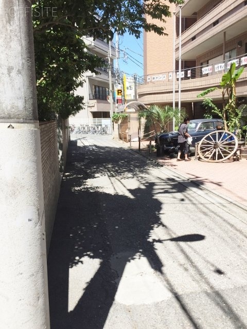 メゾンタニグチビル ビル前面道路