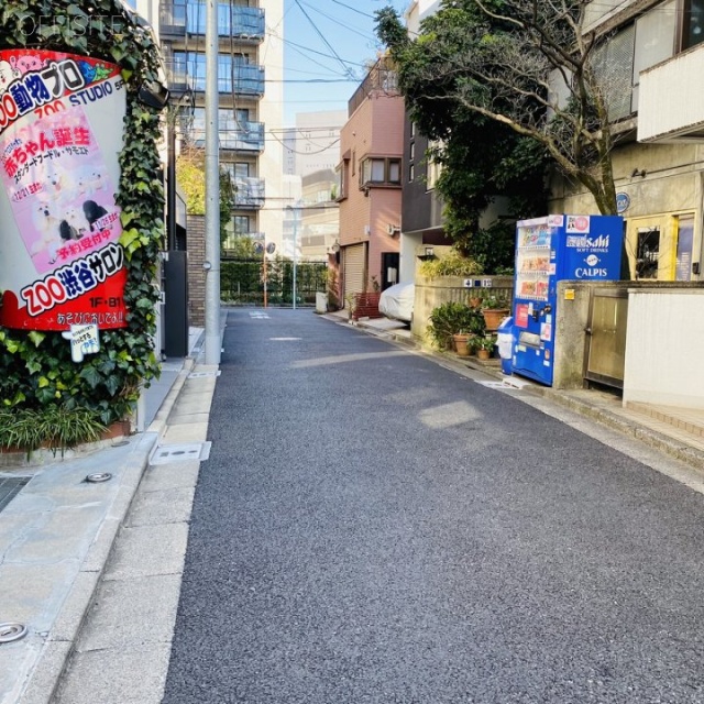 南平台ツインビル ビル前面道路