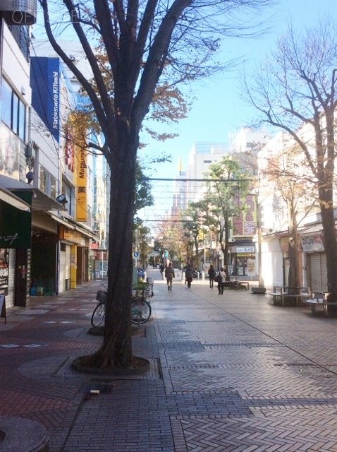 松村イセザキビル ビル周辺道路