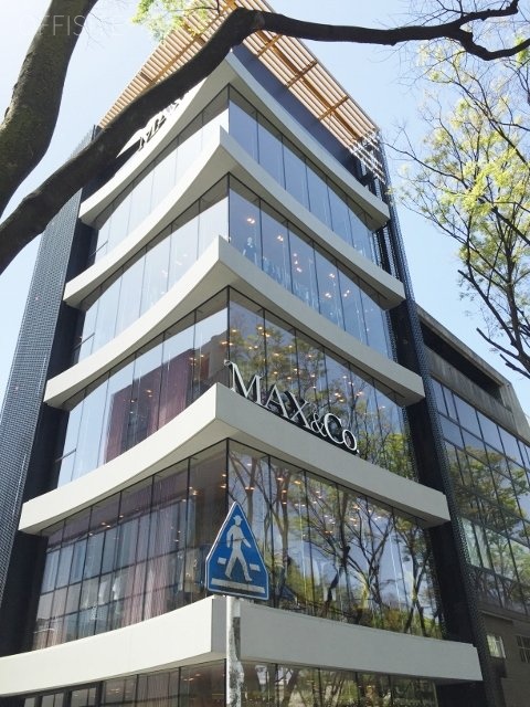 MAX&Co.ビル 画像