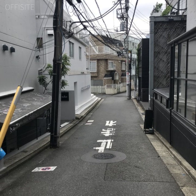 ギャラリードジム ビル前面道路