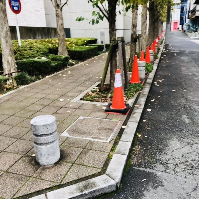 カーム青山 ビル前面道路