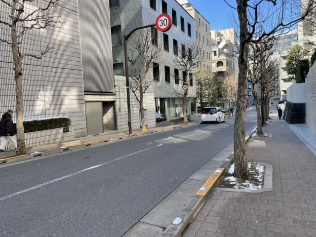 三番町渡辺ビル　側道