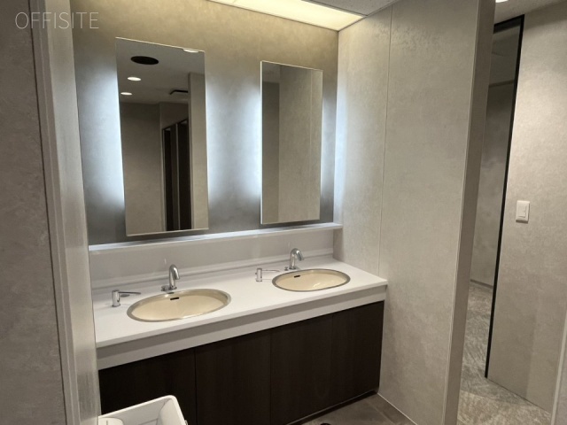 いちご新横浜ビル　洗面