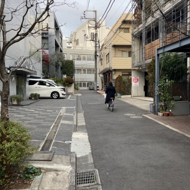 カミニートハウス ビル前面道路