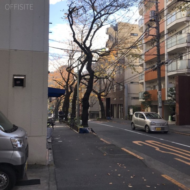 城所(きどころ)ビル ビル前面道路