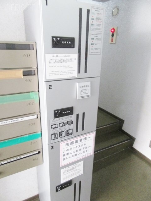 ドミパルファン 画像
