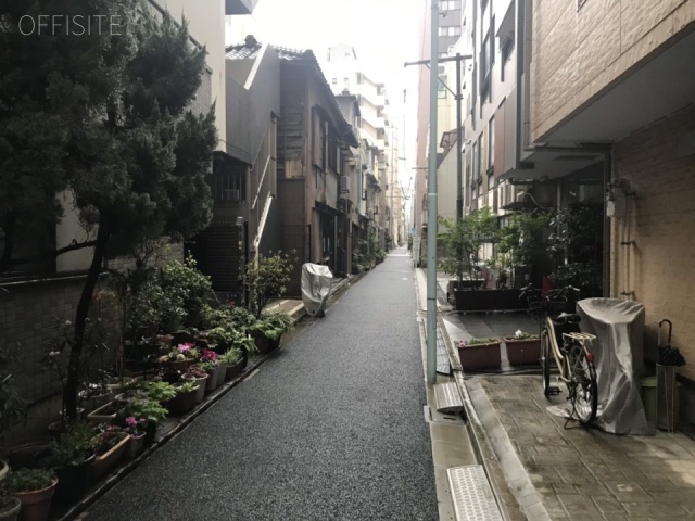 サクセス銀座東 ビル前面道路
