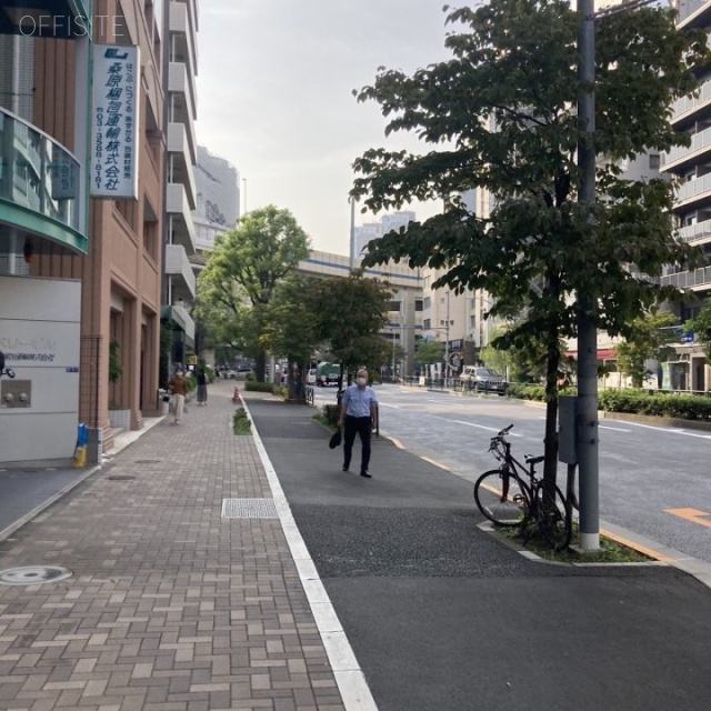マルベリービル ビル前面道路