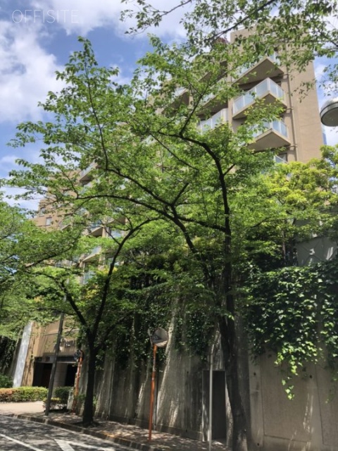 アークヒルズエグゼクティブタワー 外観