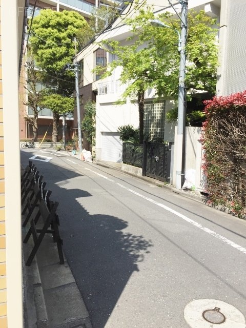 トーカン原宿キャステール ビル前面道路