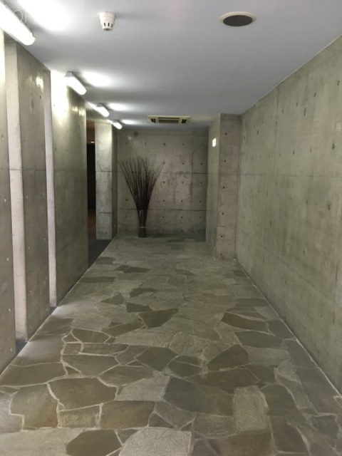 POOLビル　tumblr_o8wpauIhk21vq3mifo4_1280.jpg