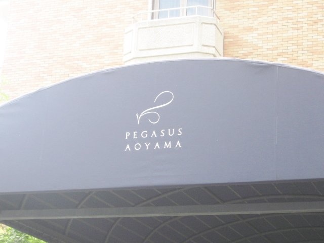 ペガサス青山 その他