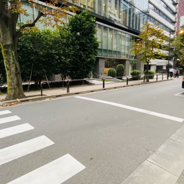 YK駿河台ビル ビル前面道路