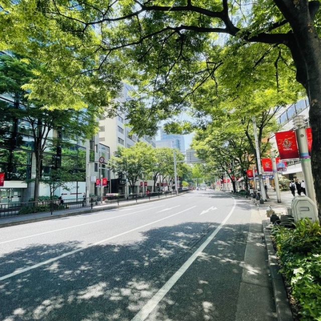 MARUWA名駅ビル　前面道路