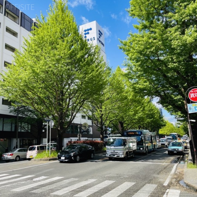 ASプラザビル 前面道路