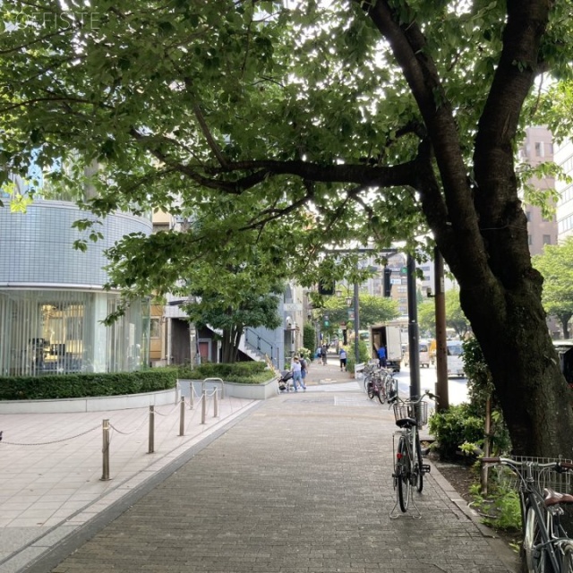 フジキカイ広尾ビル ビル前面道路