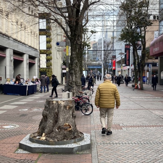 キニヤビル 前面道路