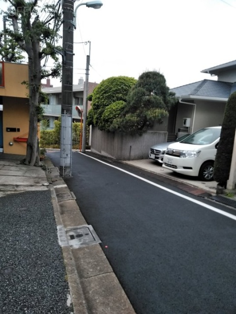 青葉台貸事務所　前面道路