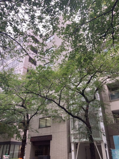 大成ビル 外観