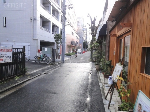 レディバードビル ビル前面道路