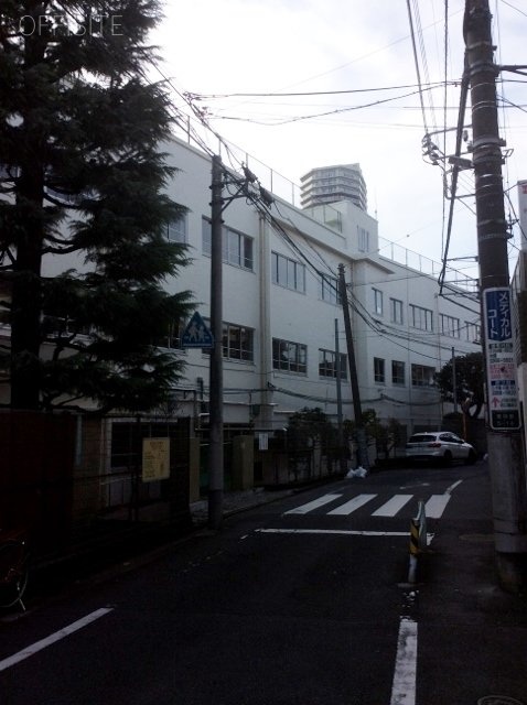 木勢ビル ビル前面道路