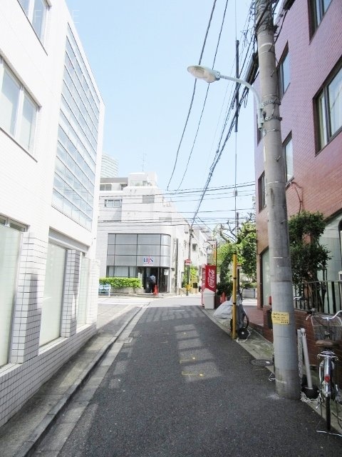 ドミパルファン 画像