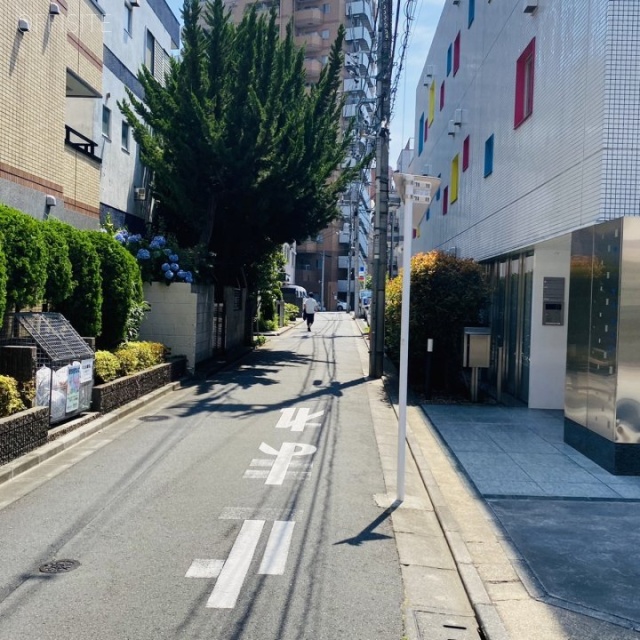 オアーキスタケビ ビル前面道路