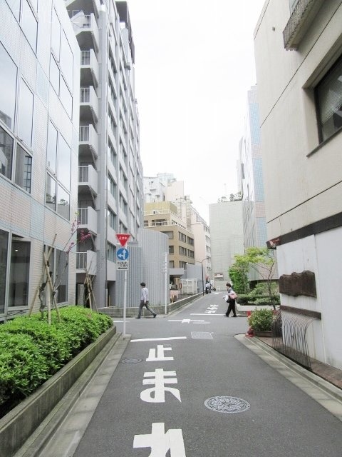 八洲(ヤシマ)ビル ビル前面道路