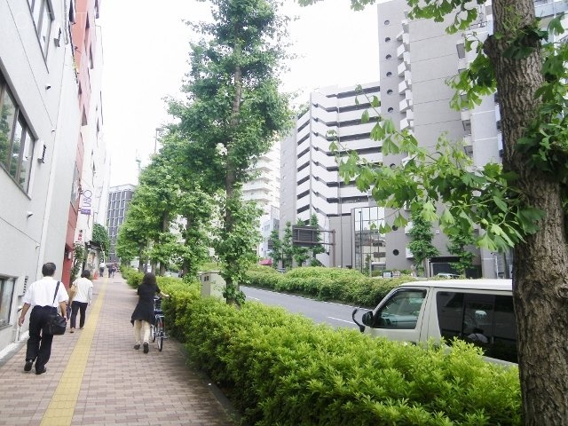 MS本郷 ビル前面道路