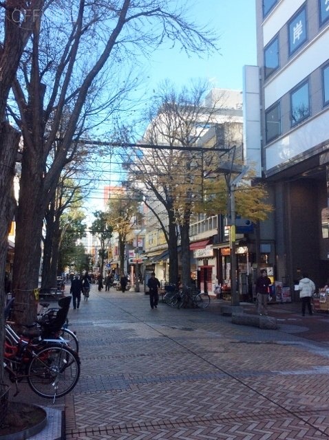 登美屋新第一ビル ビル前面道路