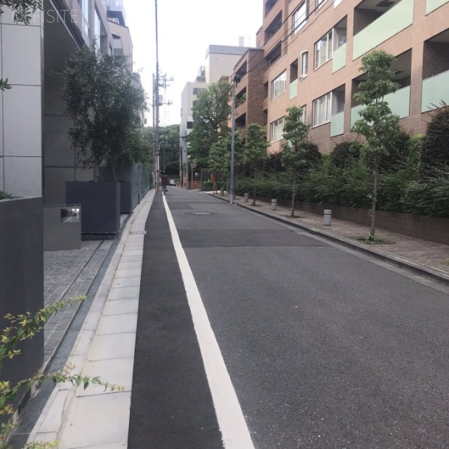 イピアスアオヤマ ビル前面道路