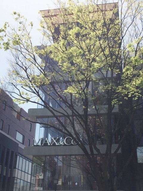 MAX&Co.ビル 画像