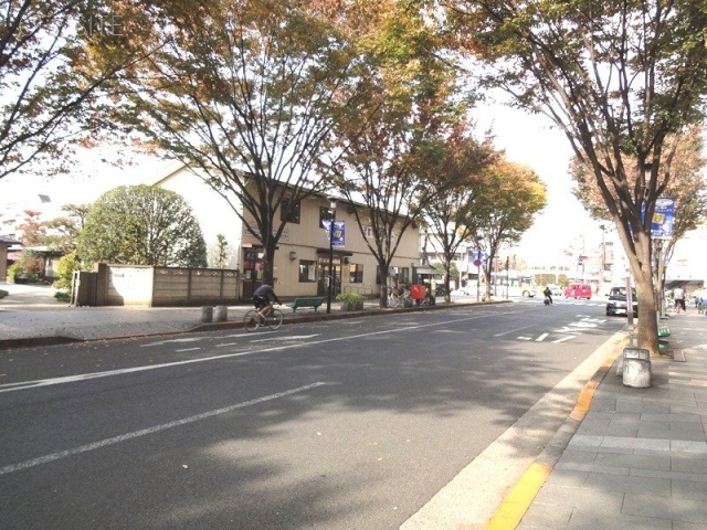 シエーヌ武蔵野(清本)ビル ビル前面道路