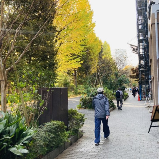YKBマイクガーデン ビル前面道路