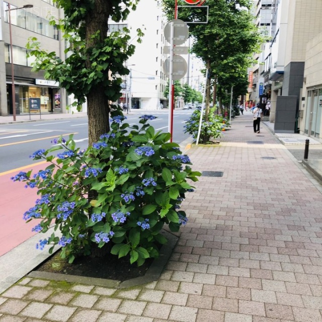 滝清ビル ビル前面道路