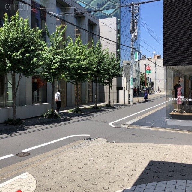 シャトー青山第1 2階 23.99坪　ビル前面道路