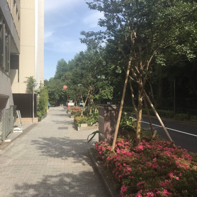サニーシティ新宿御苑ビル ビル前面道路