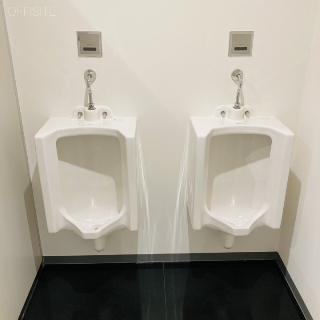 いちご神田錦町ビル5F 5階男子トイレ