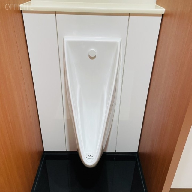 赤坂日ノ樹ビル3F 3階 トイレ