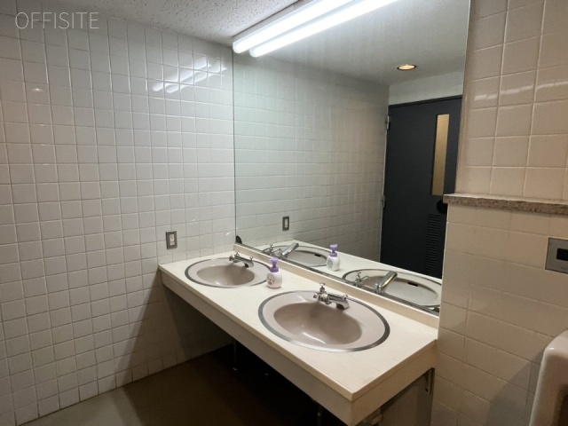 IWASAKI BLDG301 洗面