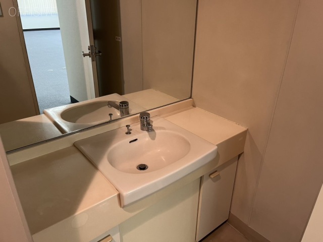 ホリーズ日本橋4F 洗面