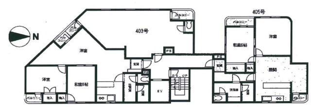 井上ビル13号館405 間取り図