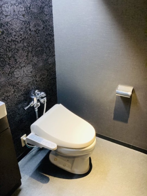 銀座槇町ビル2F 2階 トイレ